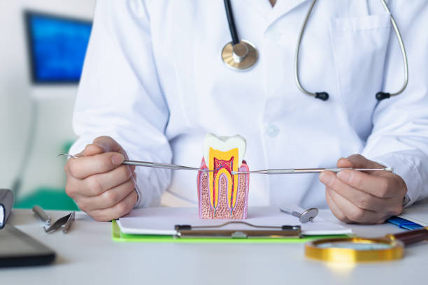 Best Emergency Dental Care for Abscessed Tooth in Herald, CA